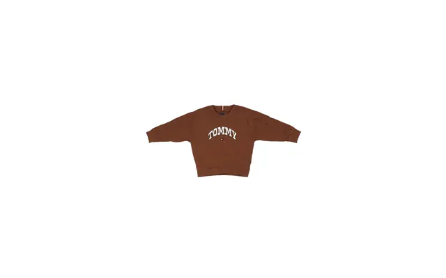 Tommy Hilfiger Baby Sweatshirt Kb0kb09899 Gvp Varsity Raised Print Hazelnut