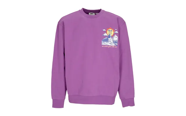 We Come From The Sun Men's Lightweight Crewneck Sweatshirt Premium French Crew Dewberry