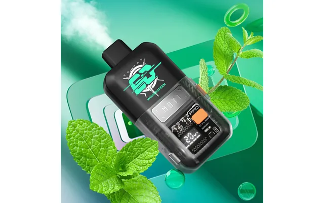 Moti Go Pro Disposable Vape 1110mah 5%, 12000 Puffs - Wintergreen'