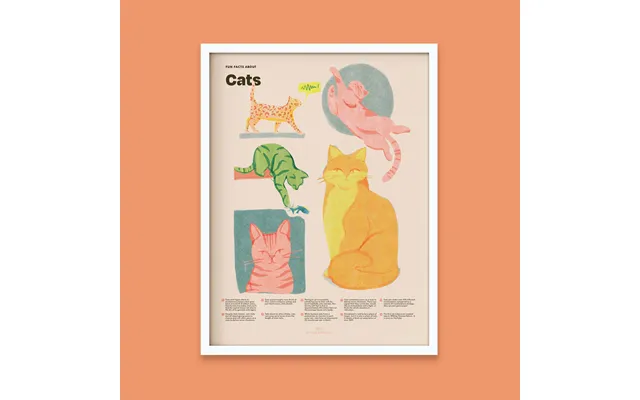 Cat Fun Facts Print - 12x16 White Frame
