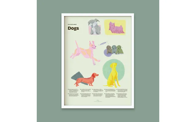 Dog Fun Facts Print - 12x16 White Frame
