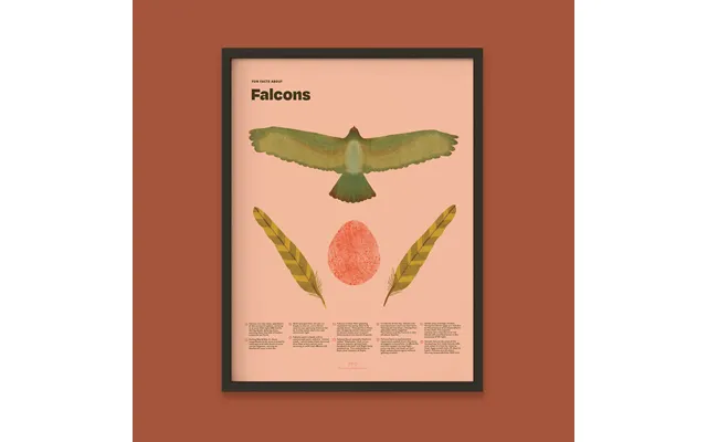 Falcon Fun Facts Print - 12x16 Black Frame