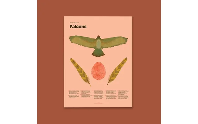 Falcon Fun Facts Print - 12x16 Unframed