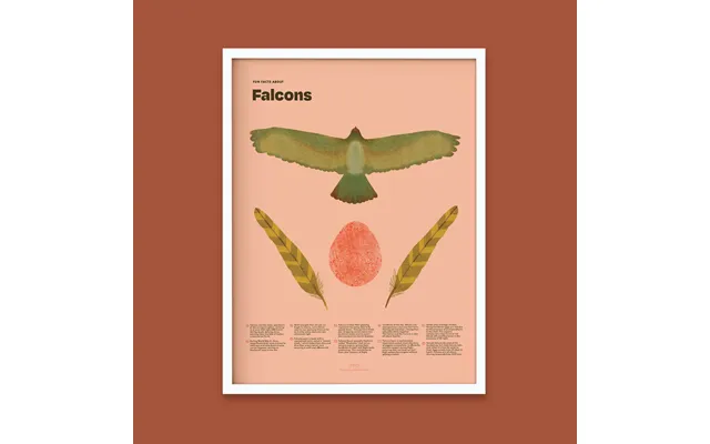 Falcon Fun Facts Print - 12x16 White Frame