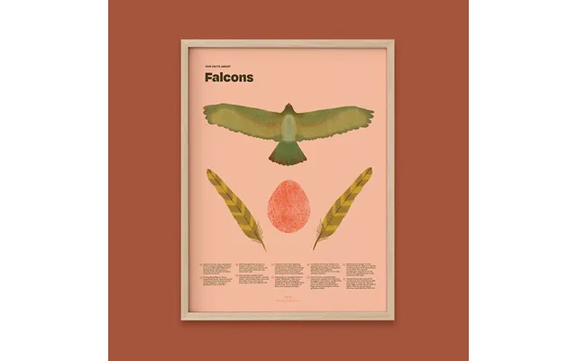 Falcon Fun Facts Print - 24x36 Natural Frame