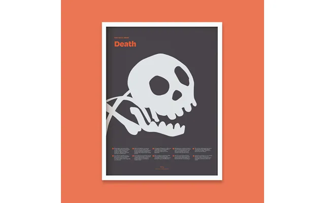 Fun Facts About Death Print - 12x16 White Frame