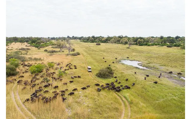 Botswana - Zimbabwe & Namibia