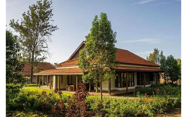 Luxury Tanzania Safari