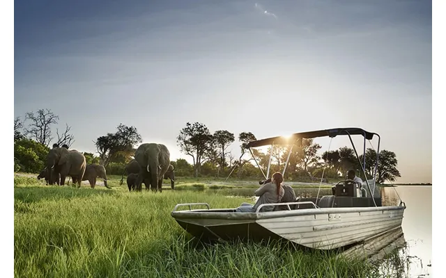 Okavango Delta - Chobe River & Victoria Falls