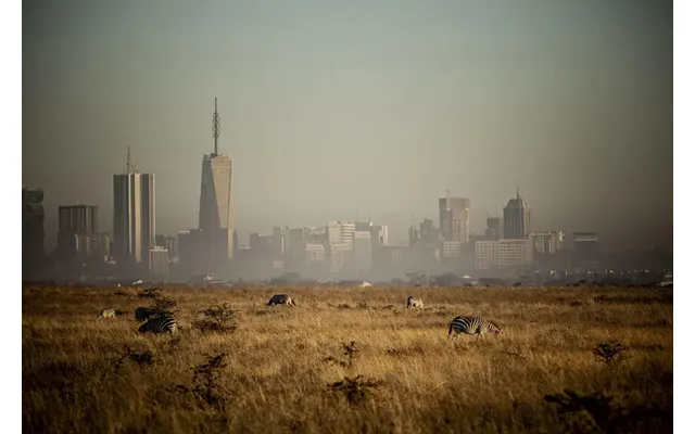 Remote Laikipia - Amboseli & Island Adventure