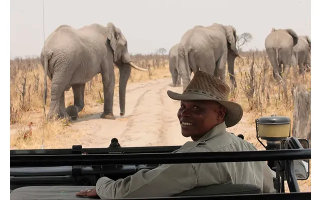 Romantic Botswana's Delta & Savute