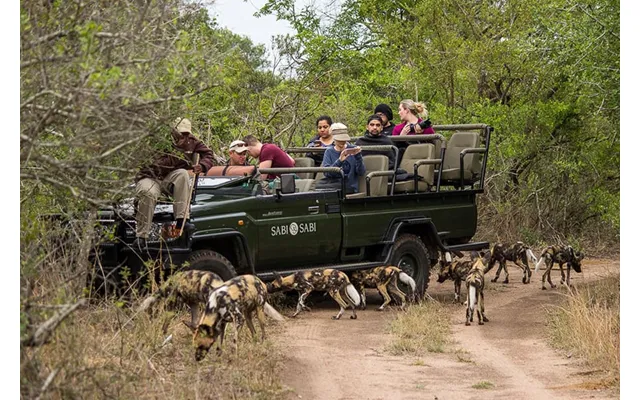 South Africa's Kruger & Mozambique