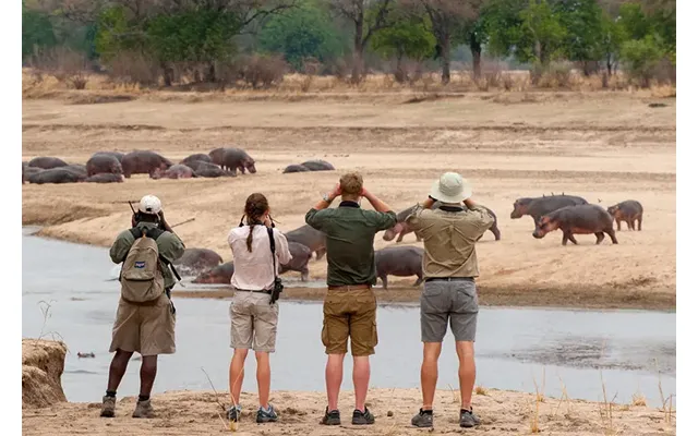 South & North Luangwa Safari