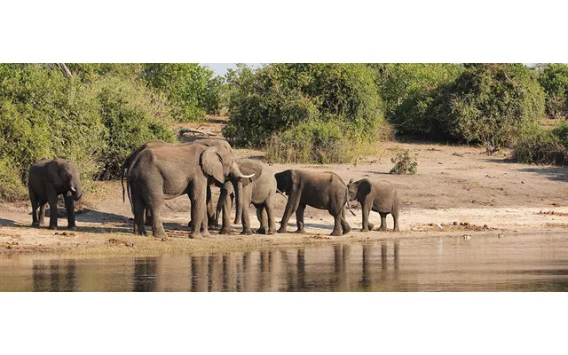 Zambia's Community & Conservation Safari