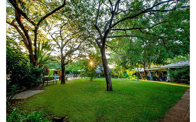 Zimbabwe's Hidden Gems Wildlife Safari