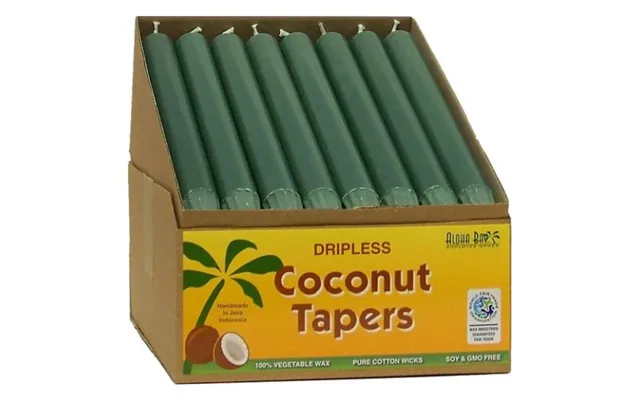 Aloha Bay - Coco Taper 9