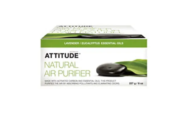 Attitude - Natural Air Purifier