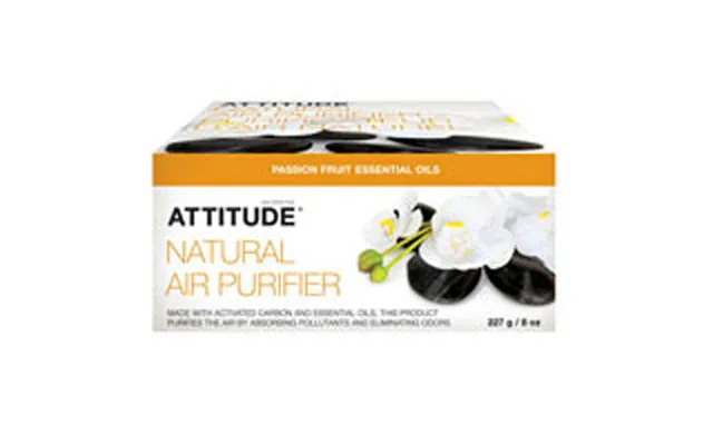 Attitude - Natural Air Purifier