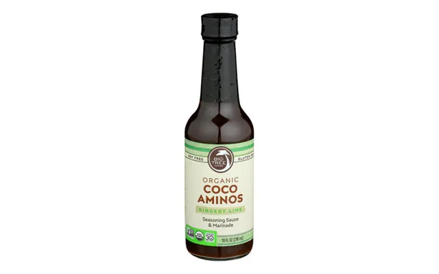 Big Tree Farms - Coconut Aminos Ginger Lime