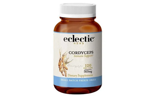 Eclectic Herb - Cordyceps