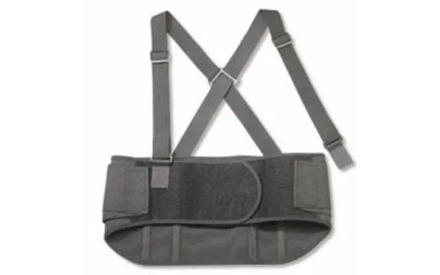Ergodyne - Back Support X-large 9 Inch