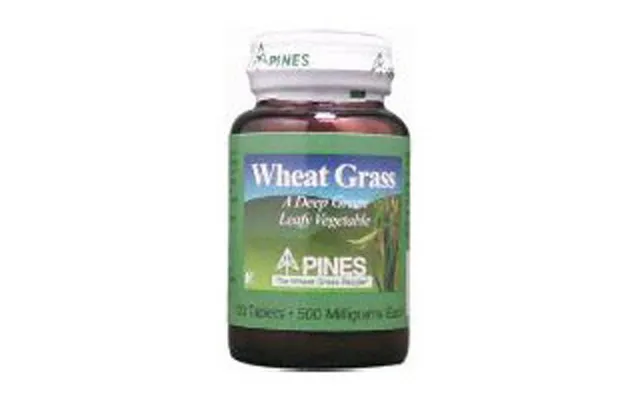 Pines Wheat Grass - Pines Wheat Grass