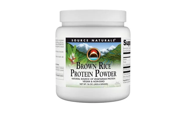 Source Naturals - Brown Rice Protein Powder