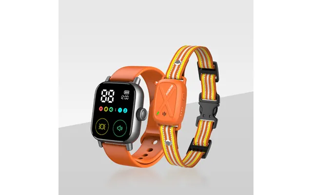Jugbow Dt-60 Remote Training Collar Watch-style Remote - Orange