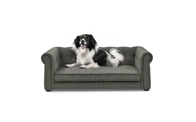 Jugbow Modern Rectangle Dog Bed Sofa