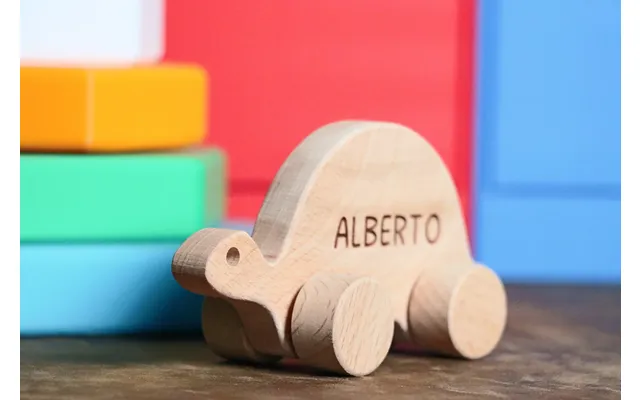Wooden Turtle Toy