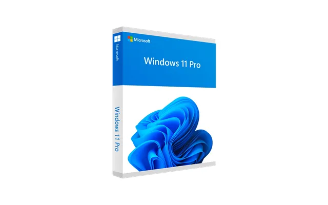 Microsoft Windows 11 Pro Professional