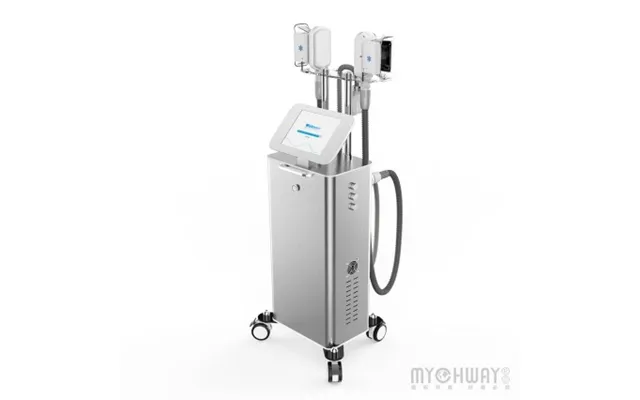 Standing Fat Freezing Slimming Beauty Machine