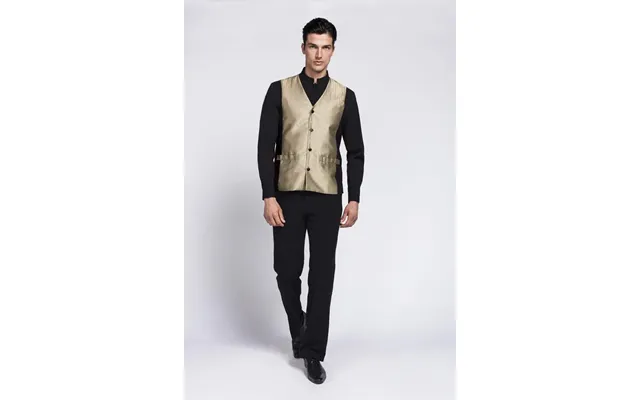 Men's Fremont Vest