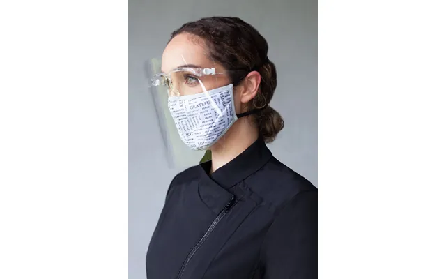 Replacement Face Shields 10-pack product image