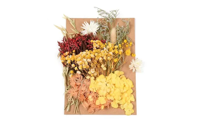 Dried Flower