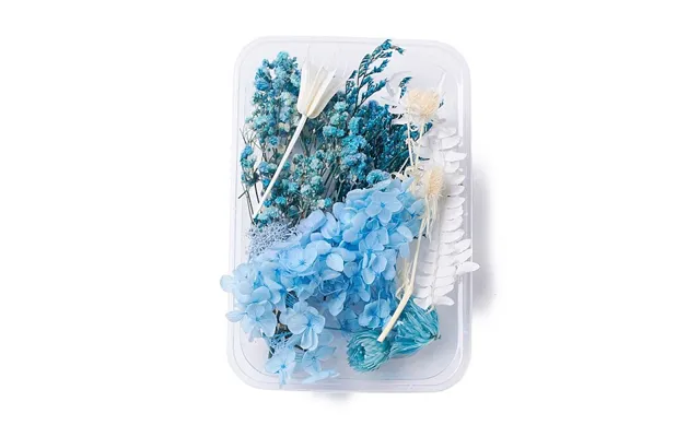 Dried Flowers