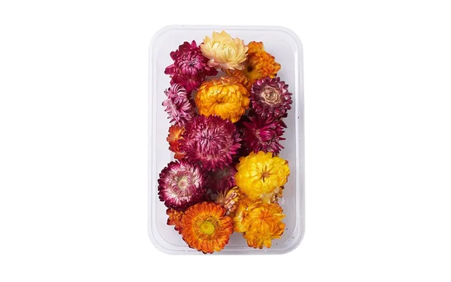 Dried Flowers