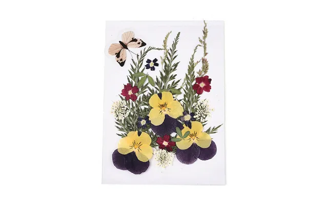 Pressed Dried Flowers
