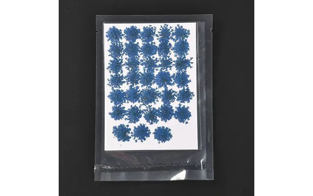 Pressed Dried Flowers