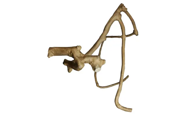 A&e Cage Company - Large Multi-branch 26 X 2.4