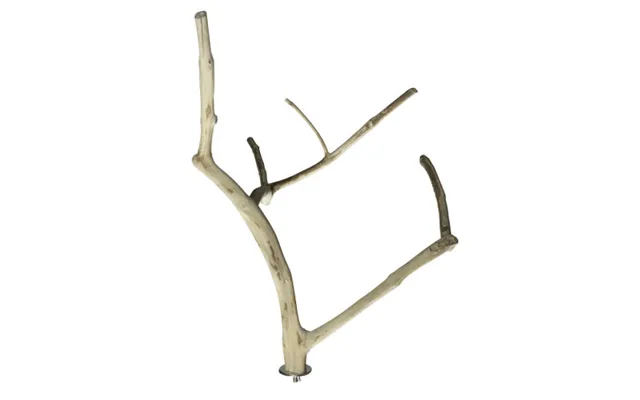 A&e Cage Company - Medium Multi-branch 22 X 1.6