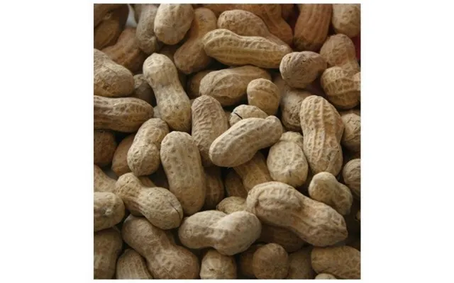 Alpine Dairy - In Shell Peanuts 1 Fancy