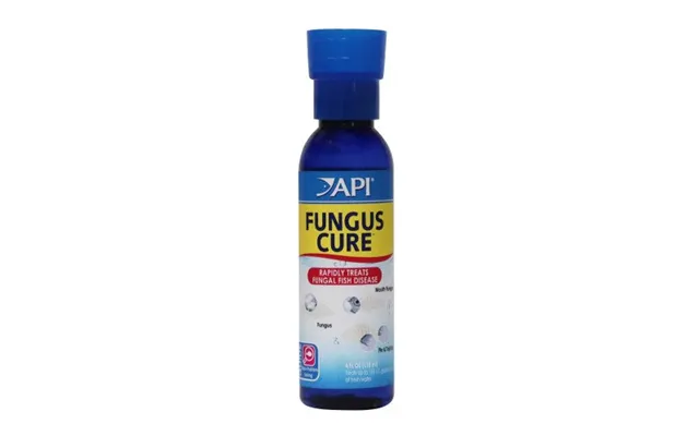 Api - Api Fungus Cure
