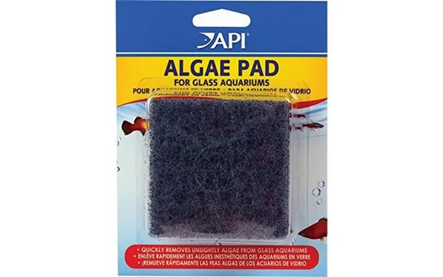 Api, Doc Wellfish's Hand Held Algae Pad For Glass Aquariums, Algae Pad - Glass