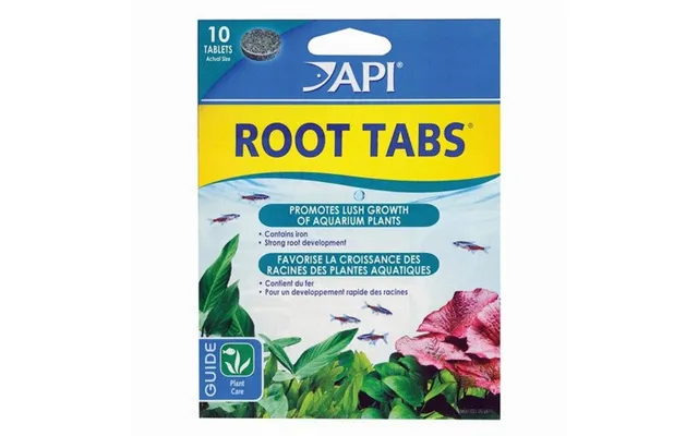 Api - Root Tabs New