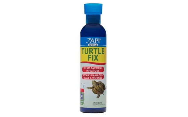 Api - Turtle Fix