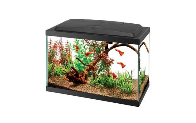 Aqueon - Aquarium Starter Kit With Led Lighting