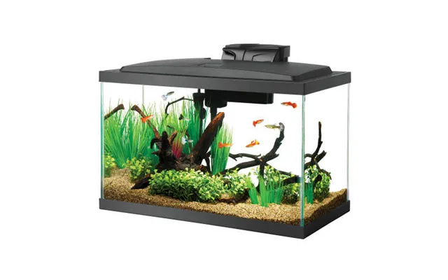 Aqueon - Aqueon Aquarium Starter Kit With Led Lighting