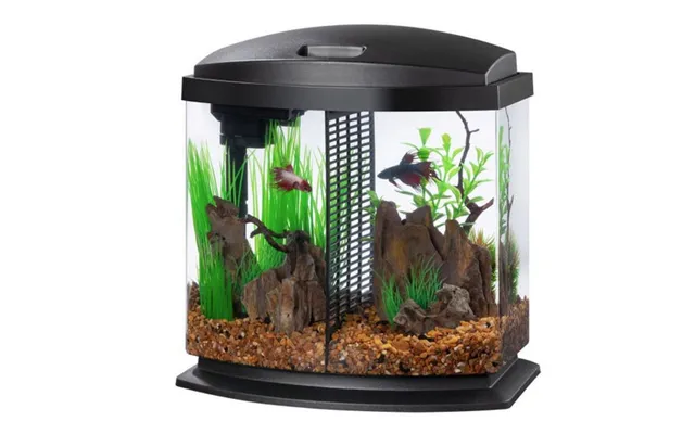 Aqueon - Aqueon Led Bettabow 2.5 Smartclean Aquarium Kit Black