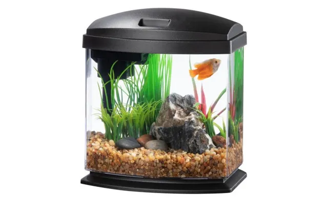 Aqueon - Aqueon Led Minibow 1 Smartclean Aquarium Kit Black
